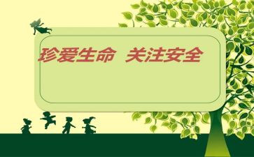 平安杯心得体会5篇