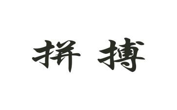 拼来的精彩600字作文优秀7篇