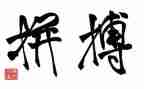拼来的精彩600字作文模板6篇