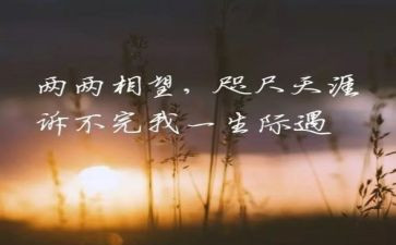 最牵挂的人是你作文7篇