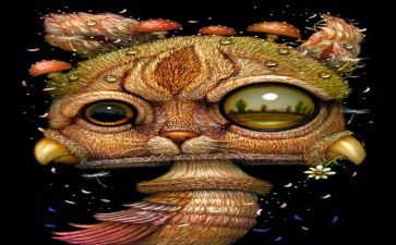 牧羊奇幻少年之旅读后感7篇