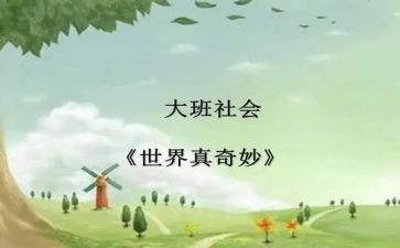 奇妙之旅读后感7篇