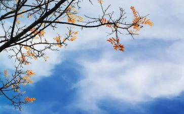 教师秋季开学典礼讲话稿7篇