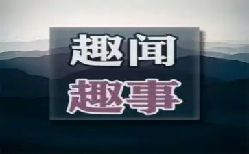 假期趣事作文模板8篇