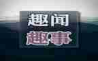 假期趣事作文模板8篇