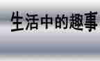 假期趣事作文500字5篇