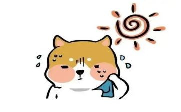 热闹的事作文参考6篇