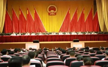 人大代表素述职质报告6篇