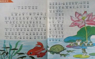 小学数学教师个人教学工作计划6篇