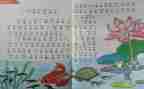 小学数学教师个人教学工作计划6篇