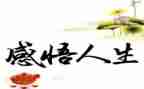 感悟人生作文800字8篇