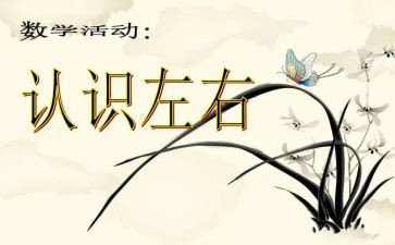 认识行和列教案优秀7篇