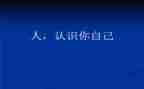 《认识钟表》教案精选7篇