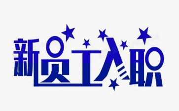 入职转正个人总结6篇