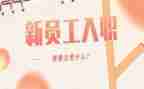 刚入职年度总结8篇