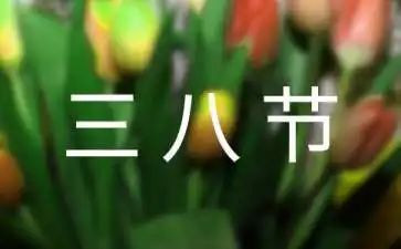 三八妇女节活动方案范文8篇
