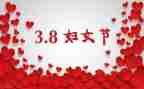 学校三八节活动方案6篇