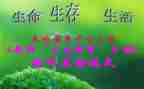 高三生物教师个人总结7篇