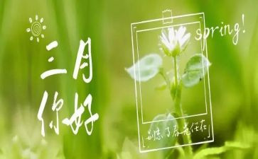 三月大班工作总结7篇