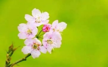 幼儿教师三月份工作计划7篇