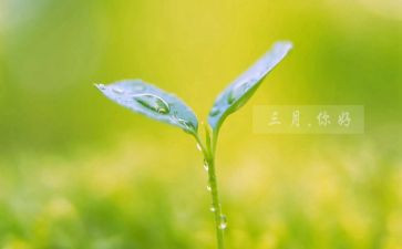 三月雷锋月的心得体会7篇