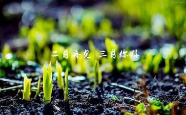三月总结报告7篇