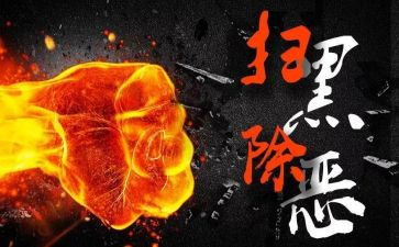 扫黑除恶心得体会6篇