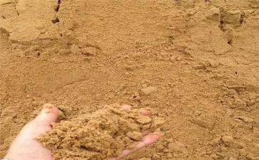 《小雨沙沙》教案通用6篇
