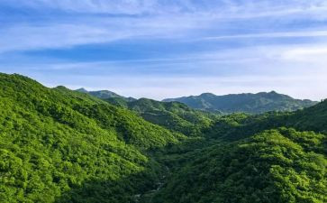 爷台山作文8篇