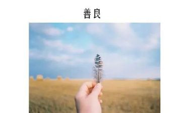 要善良作文模板5篇