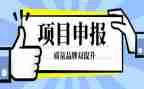 小学教师申报职称专业技术工作总结7篇