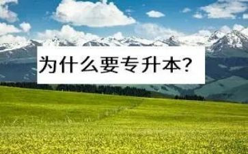专升本函授自我鉴定最新6篇