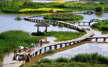 生活部述职报告7篇