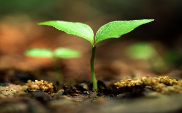 性与生命读后感推荐7篇
