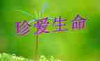 珍爱生命与安全讲话稿5篇