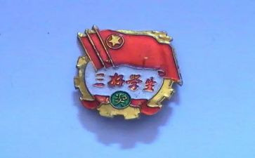 院三好自我鉴定参考6篇