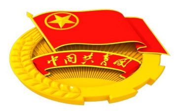 省团代表述职报告优质7篇