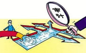 审计员在述职报告通用5篇