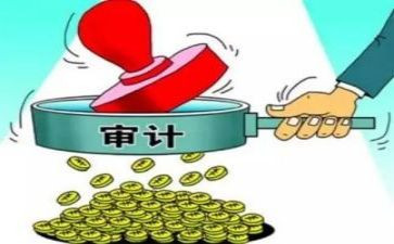 2023年工作总结审计6篇