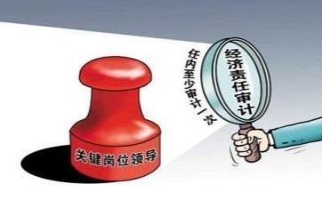 2023审计自查报告6篇