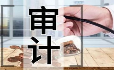 述职审计报告5篇