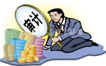 审计工作半年度工作总结模板5篇