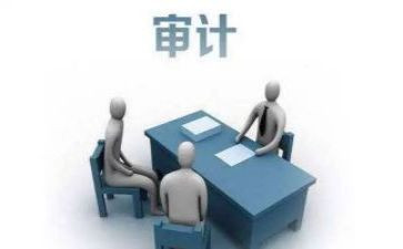 审计自查报告财务8篇