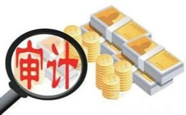 审计所述职报告推荐7篇