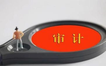 审计局个人总结7篇