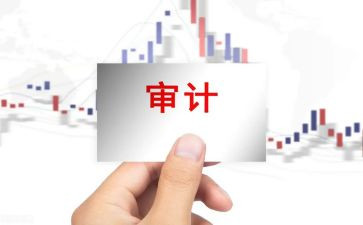 审计员述职报告5篇