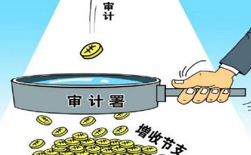 审计自我总结6篇