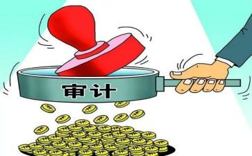 2023年工作总结审计通用8篇