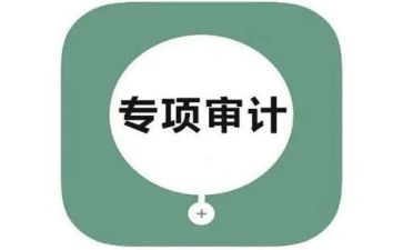 审计工作个人年度总结5篇