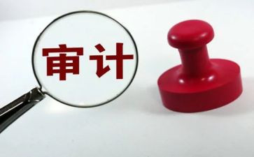 2023年工作总结审计8篇